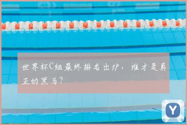 世界杯C组最终排名出炉,谁才是真正的黑马?