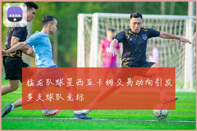 猛龙队球星西亚卡姆交易动向引发多支球队竞标