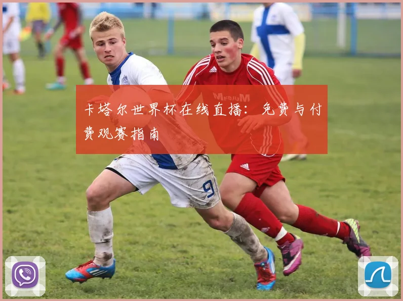卡塔尔世界杯在线直播：免费与付费观赛指南