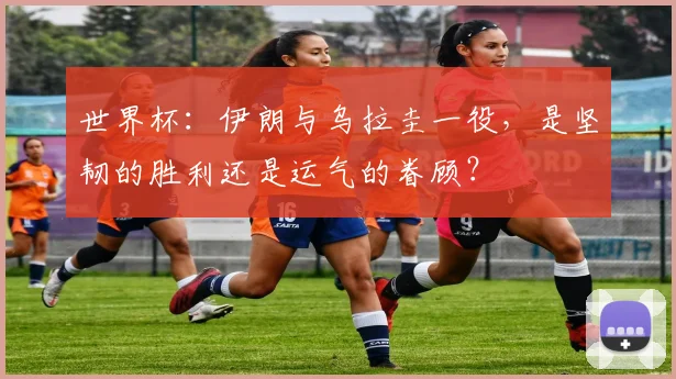 世界杯:伊朗与乌拉圭一役,是坚韧的胜利还是运气的眷顾?
