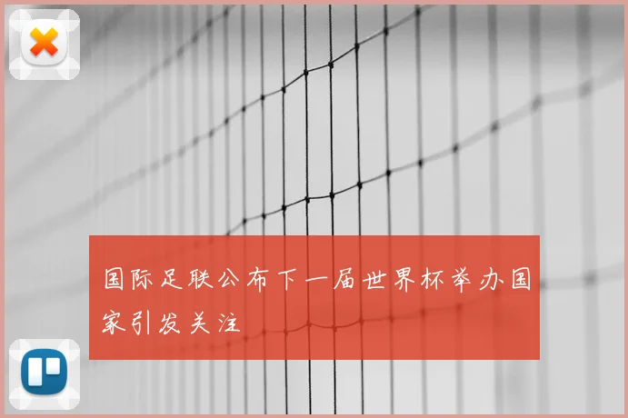 国际足联公布下一届世界杯举办国家引发关注