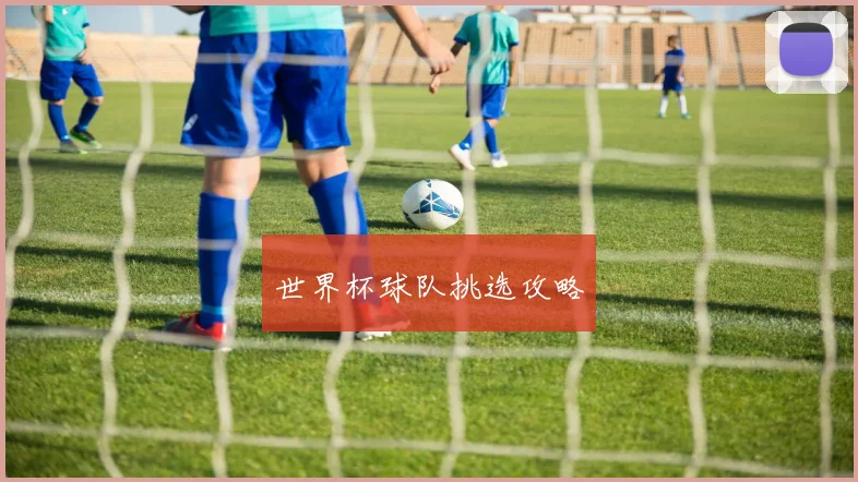 世界杯球队挑选攻略