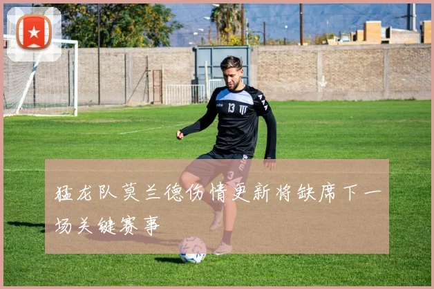 猛龙队莫兰德伤情更新将缺席下一场关键赛事