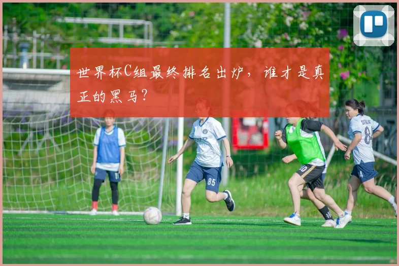 世界杯C组最终排名出炉,谁才是真正的黑马?