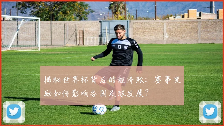 揭秘世界杯背后的经济账:赛事奖励如何影响各国足球发展?