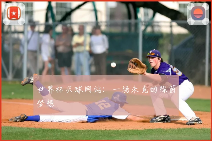世界杯买球网站：一场未竟的绿茵梦想