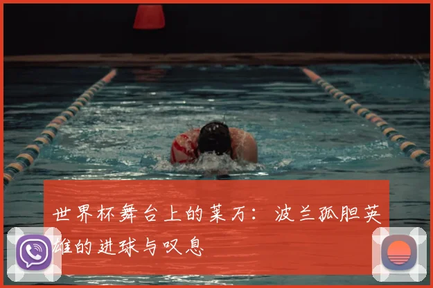 世界杯舞台上的莱万：波兰孤胆英雄的进球与叹息